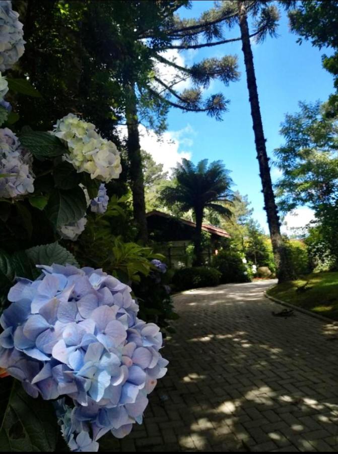 Villa Casa Goldoni Gramado Exterior foto